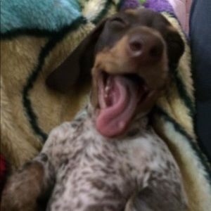 Meet your Posher, Wanda